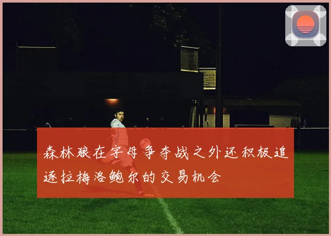 森林狼在字母争夺战之外还积极追逐拉梅洛鲍尔的交易机会
